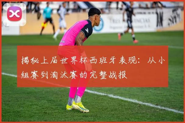 揭秘上届世界杯西班牙表现：从小组赛到淘汰赛的完整战报