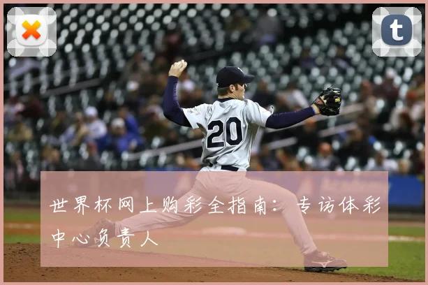 世界杯网上购彩全指南：专访体彩中心负责人