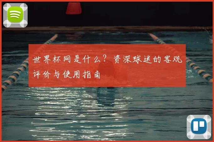 世界杯网是什么？资深球迷的客观评价与使用指南