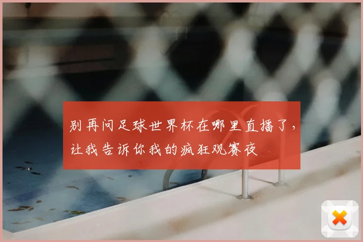 别再问足球世界杯在哪里直播了，让我告诉你我的疯狂观赛夜