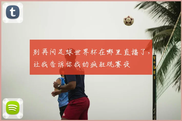 别再问足球世界杯在哪里直播了，让我告诉你我的疯狂观赛夜